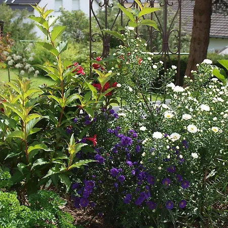 Zauberhaft Apartament