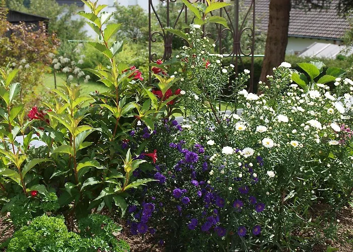 Zauberhaft Apartamento